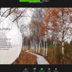 Culture Sharing Project34